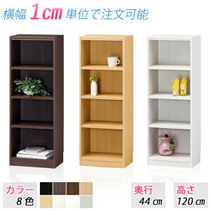 IׂTCY bN (120cm s44cm 35`44cm) [bN I[vbN J[{bNX {I ubNbN [I I Ԏ[ ԉƋ VFt bN I  TCYύX 