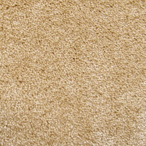 փ}bg   O }bg 75 × 120 cm ֐}bg EFJ}bg hA}bg  O J[ybg O}bg n}bg