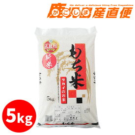 熊本県産 もち米 5kg 九州 熊本 餅米