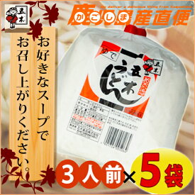 五木食品 これぞ五木の自信作☆お買い得 五木うどん【三人前】5袋セット 九州 熊本 五木食品