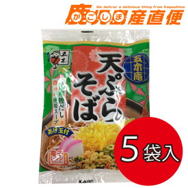 五木食品 五木庵 天ぷらそば 麺 特製スープ付 5袋セット 九州 熊本 五木食品