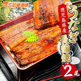 国内産 うなぎ 蒲焼き 2尾 鹿児島県産 大崎町 送料無料 ウナギ 鰻