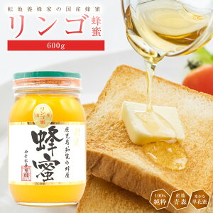 {I 񂲂݂͂ XY 600g Y  I n`~c N nj[ HONEY 