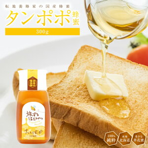 {I ۂۂ݂͂ kCY 300g Y  I n`~c N nj[ HONEY