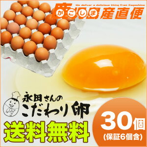  iĉ藑 30(j⏞ 6܂) N[ց@Ɩp@B Y ܂ Mtg