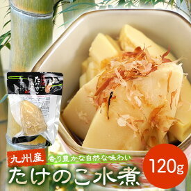 九州産 たけのこ 竹の子 筍 水煮 トライカット 120g 上野食品 国産 国内産 業務用