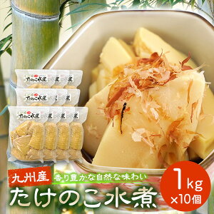 Ɩp  BY ̂ |̎q   1kg×10܃Zbg Hi Y Y
