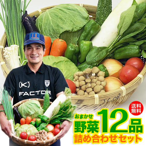 鹿児島からクール便でお届けします 送料無料 レビュー4.6以上 九州 新しい季節 野菜セット 鹿児島 詰め合わせ12品 超美品
