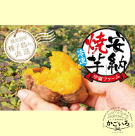 中園ファームの熟成安納芋の焼き芋（冷凍）＜中園ファーム＞