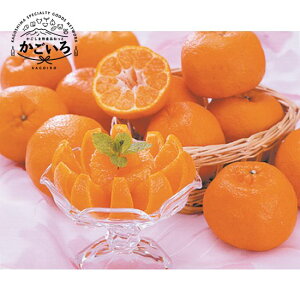 y\񒆁Izvۂ񂩂i5kgjFG炶܁