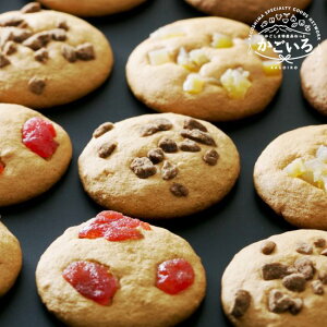 ۂځ[lߍ킹i10jgَqX