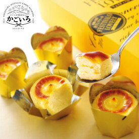 唐芋レアケーキ3本セット（ラブリー・リッチチーズ・カプレス）＜フェスティバロ＞