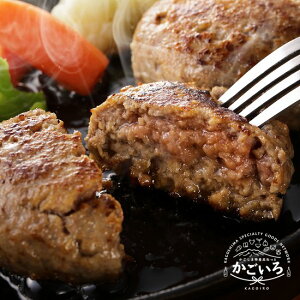 q炿̗R100%gpIno[O(100g×6)