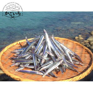 тȂVip500gjnꐅYHꁄ