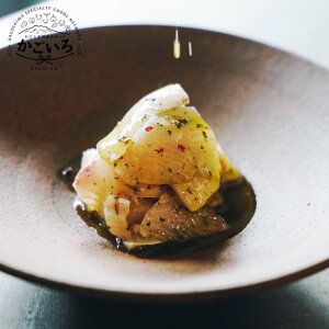 Ő܂ꂽn̎hguςvROOTS FOOD