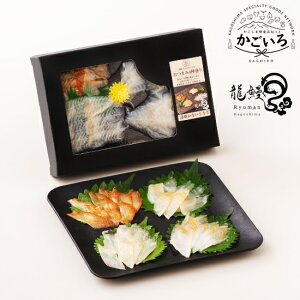 y2024܂̐VYiRN[܁zĂȂȂ V܂4퐷聃VoWpGCWO