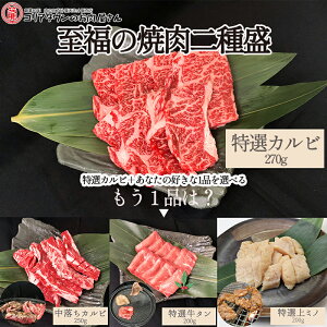 ̏ē퐷 (IJr{Iׂi) Jr ^ ~m Jr  Y ~m ^ ^t  ē Ă S BBQ ~ o[xL[ Mtg v[g  