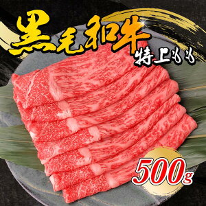 јa  500g V[gt Ă Ԃԗp Y Y  Ԃ  ē Ă S XCX Mtg v[g  l ̂ j j   