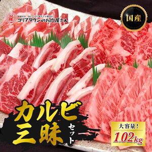 JrOZbg 1.02kg јaɏJr YIJr YtJr YLgp؃Jr ē̂   ؓ ē  lC Ă S BBQ o[xL