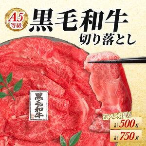 yܔ O܎܁z јa A5 唻؂藎Ƃ 500g 750g 蕨 Mtg  Y Y  Ă Ԃ  ē Ă a A5 唻 S ̓ Ε 