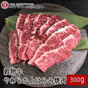 炩͂ݏē300gI[XgAY I[W[r[t  ē Ă S BBQ n~ o[xL[ XCX Mtg v[g  j[A V