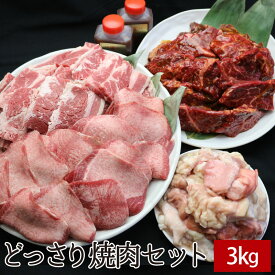 どっさり焼肉セット 3kg(BBQカルビ,たれ漬けハラミ焼肉,特選牛タンスライス,国産牛ミックスホルモン,焼肉のたれ付)【送料無料】▼牛肉 焼き肉 鉄板焼 バーベキュー スライス ギフト パーティー 大人数 贈答 あす楽 のし 御祝 御礼 お取り寄せ 春ギフト 母の日