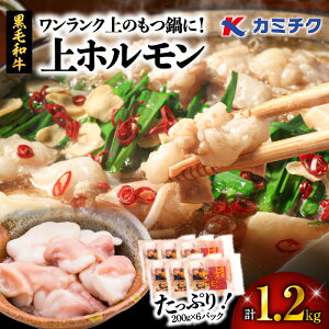 yő2,000~OFFN[|zeʑIׂ遄 N   ɁI z 600g or 1.2kg    z  јa ē   ܂  Ă  pbN [H Y