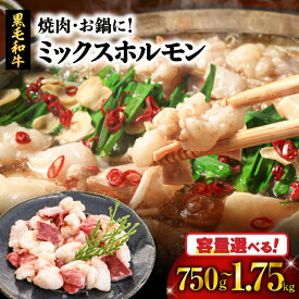 【楽天1位】＼4,070円⇒3,256円〜／【楽天スーパーSALE】＜容量選べる＞ 焼肉 お鍋 に！ ミックスホルモン 750g or 1.75kg 肉 牛 ホルモン 牛肉 黒毛和牛 もつ鍋 鍋 おかず つまみ 国産 もつ 小腸 シマ腸 小分け パック カミチク 鹿児島 鹿児島市 ランキング 割引 期間限定