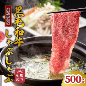 y撅350Iő2000~OFFN[|Iza{ Iy ⌳X zugqvYјaԂԃZbg 500g [X XCX Ɛ ܃^ t  