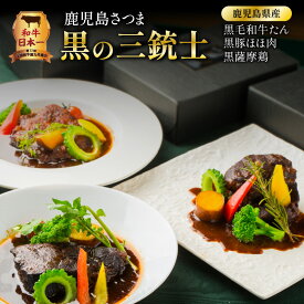 【先着350名限定！最大2000円OFFクーポン！】和牛日本一 ！ 鹿児島 さつま 黒の三銃士 レトルト シチュー 3種 詰合せ セット 送料無料 鹿児島市 九州 ブラウンシチュー 黒毛和牛 黒豚 黒 薩摩鶏 牛タン タン ホホ肉 牛肉 豚肉 鶏肉 デミグラスソース 洋食【洋食グリル 肝付】