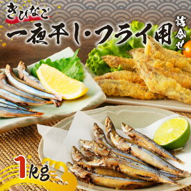 津曲商店 きびなご 一夜干し フライ用 詰合せ 1kg 送料無料 贈り物 ギフト セット お取り寄せ お土産 特産品 地域の品 家庭 揚げ物 魚 魚介 海の幸 海鮮 フライ 郷土料理 天ぷら おつまみ おやつ カルシウム 九州 鹿児島市
