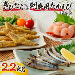 y9 01:59܂ŁI500~OFFzËȏX тȂ 銱 tCp Ⓚ  hgp l Zbg v2.2kg Yi yY 蕨 v[g Mtg ȒP y   CN VN t