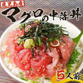鹿児島産 マグロ の 中落丼 5人前 送料無料 鹿児島市 九州 お取り寄せ 特産品 お土産 贈り物 プレゼント ギフト キハダマグロ 刺身 生 中落 マグロ丼 かけるだけ ボリューム 小分け 冷凍 真空パック 便利 ノンドリップ