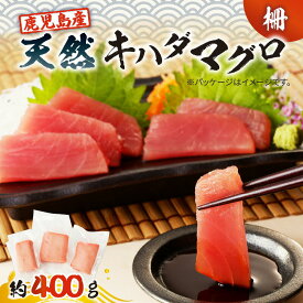 鹿児島産 天然 キハダマグロ 柵 約400g 鹿児島 ランキング ギフト 冷凍 魚 マグロ ブロック 刺身 生 マグロ丼 小分け 便利 鮮度 ボリューム 急速冷凍 真空 パック ノンドリップ ドリップなし 刺身維新 津曲商店