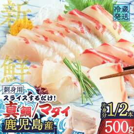 ＼1/25限定クーポンで10％OFF／鹿児島産 スライスするだけ！ 真鯛 （ マダイ ） 刺身用 片身分 500g 魚 刺身 鯛 タイ 真ダイ 柵 海鮮 片身 丼 鯛茶漬け 冷蔵 簡単 便利 新鮮 鮮度 真空パック 津曲商店 鹿児島 おすすめ ランキング プレゼント ギフト