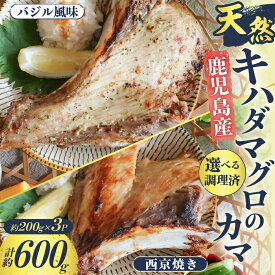 ＜選べる＞ 鹿児島産 天然 キハダマグロ の カマ 約 200g × 3P 調理済 バジル風味 or 西京焼き 骨なし 骨抜き マグロ まぐろ 鮪 かま 脂 バジル 西京味噌 ボリューミー おかず おつまみ 冷凍 惣菜 津曲商店 鹿児島 ギフト