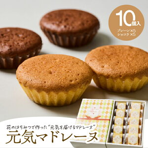 Iׂ遄 C}h[k v[ VR 5 ` 10 Zbg }h[k `R `R[g ĉَq َq XC[c ݂͂ I  peBX[eB[^r s 