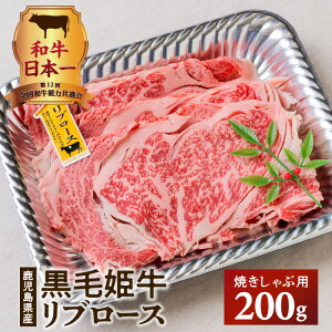 ѕP u[XĂԗp s Y Y Y oY A4 ѕP IWiuh   a Y јa i ґ ~ u[X Ԃ 