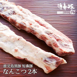 y10%OFFN[| 11/1z  Z@ Ȃ񂱂 2`3{ Ȃ񂱂    ؓ ؂Ȃ񂱂    Ⓚ p   i  XgbN ۑp  