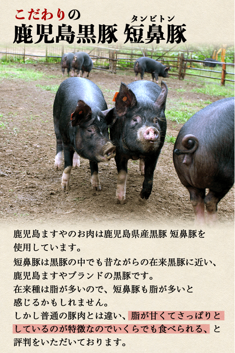 超美品 楽天市場】鹿児島黒豚 肉 生なんこつ 2〜3本 なんこつ 短鼻豚 ウィッグ・エクステ