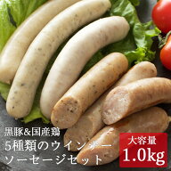 【9/4 20時〜4H限定最大1000円OFFクーポン】無添加 ソーセージ ギフト 鹿児島黒豚＆国産鶏5種類 ウインナ…