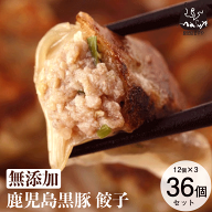 無添加 餃子 贅沢 鹿児島黒豚 短鼻豚 お肉たっぷり 生 餃子 36個セット 無添加餃子 送料無料 母の日 父の…