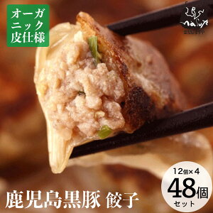 y10%OFFN[| 11/1z yI[KjbNgpz  Lq Zbg 12×4 (^t) Mtg v[g  ⓀLq _S j  Lq 傤 Ⓚ y  L@