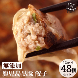 無添加 ギフト 鹿児島黒豚 贅沢黒豚 生餃子 48個セット (タレ付き) 送料無料 内祝い 餃子 惣菜 冷凍 お取り寄せ 食べ物 お返し プレゼント 無添加惣菜 おつまみ 美味しい 絶品 国産 つまみ グルメ 食品 ギフトセット 肉たっぷり 無添加食品