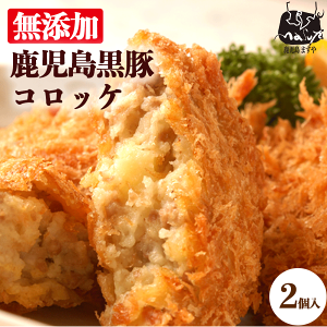 Y  Z@ RbP 2 Ⓚ y  Mtg p 蕨 i ӂ͂ Ԃ j  ٓ ʔ Y B    ͂ [ ` 