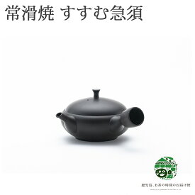 急須 おしゃれ 日本製 常滑焼 すすむ急須