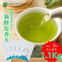 【送料無料】 茶問屋のあまくておいしい鹿児島茶 3本 5本 セット | 水出し緑茶 お茶 緑茶 茶葉 日本茶 煎茶 お徳用 訳あり あまい 鹿児島 ブレンド茶 茶 ちらん おちゃ 知覧 高級 高級茶葉 お茶っ葉 お茶葉 お茶の葉 日本産 国産 健康茶 ギフト 母の日 新茶
