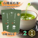 【送料無料】有機緑茶 知覧茶 知覧特選 80g | オーガニック 緑茶 お茶 緑茶 茶葉 日本茶 煎茶 深蒸し煎茶 深蒸し茶 深蒸し 深むし 深むし茶 鹿児島茶 鹿児島 ブレンド茶 茶 ちらん あまい おちゃ 高級 高級茶葉 お茶っ葉 お茶葉 老舗 日本産 国産 ギフト