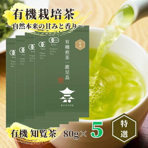 yzL@Β I 80g | I[KjbN Β   Β t {  [ [ [ [ނ [ނ   uh   ܂ 