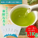 【送料無料】 茶問屋のあまくておいしい鹿児島茶 3本 5本 セット | 水出し緑茶 お茶 緑茶 茶葉 日本茶 煎茶 お徳用 訳あり あまい 鹿児島 ブレンド茶 茶 ちらん おちゃ 知覧 高級 高級茶葉 お茶っ葉 お茶葉 お茶の葉 日本産 国産 健康茶 ギフト 母の日 新茶